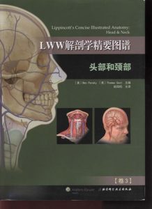 LWW解剖学精要图谱-头部和颈部-1-Ben-欧阳钧-2015