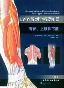 LWW解剖学精要图谱-背部上肢和下肢-3-Ben-欧阳钧-2015