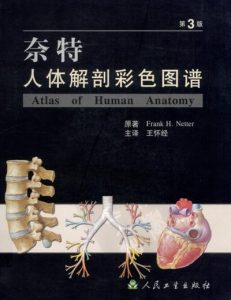 奈特人体解剖彩色图谱-3rd-2005