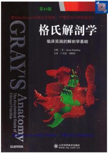 格氏解剖学 第41版 高清彩色中文版 丁自海 刘树伟主编 2017年