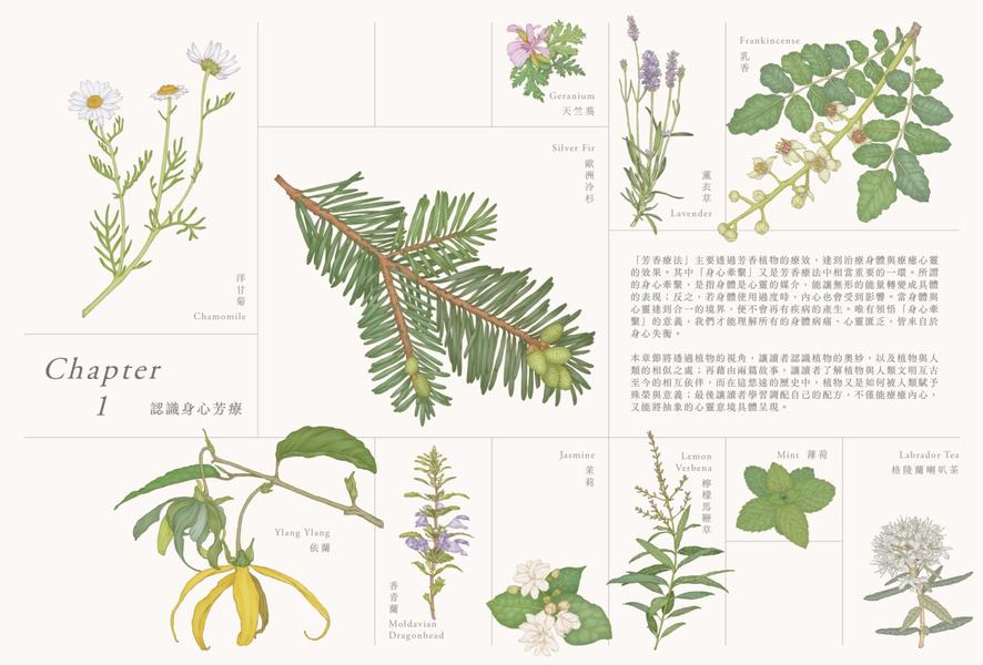 相映，身心对症芳疗全书 从224种植物找到身心解方的相应芳疗学